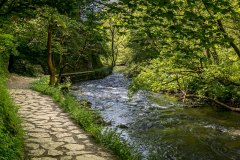 Dovedale walk, River Dove walk