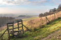 Drewton walk