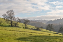 Drewton walk
