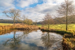 Drewton Beck