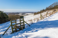 Drewton walk