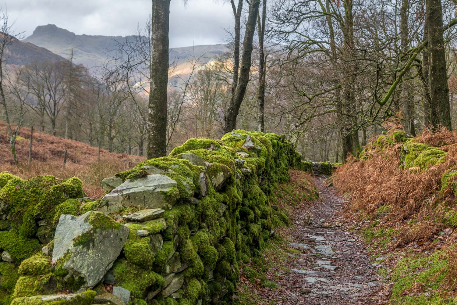 Little Langdale, dry stone wall