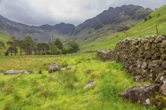 Warnscale Bottom, dry stone wall
