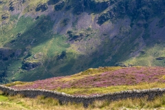 Dry stone wall Lake District