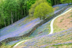 Loughrigg Terrace, dry stone wall