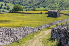 Yorkshire Dales dry stone wall