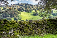 Troutbeck