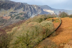 Borrowdale, dry stone wall