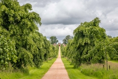 Dumfries House, Duchess of Rothesay Avenue