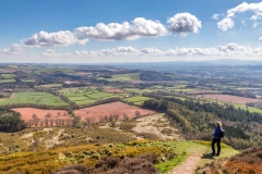 Eildon Hill North
