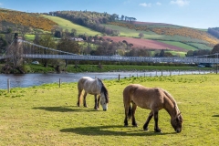 Chain Bridge over the River Tweed