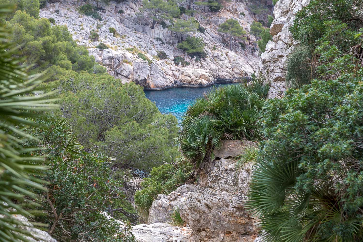 Cala en Gossalba, Mallorca