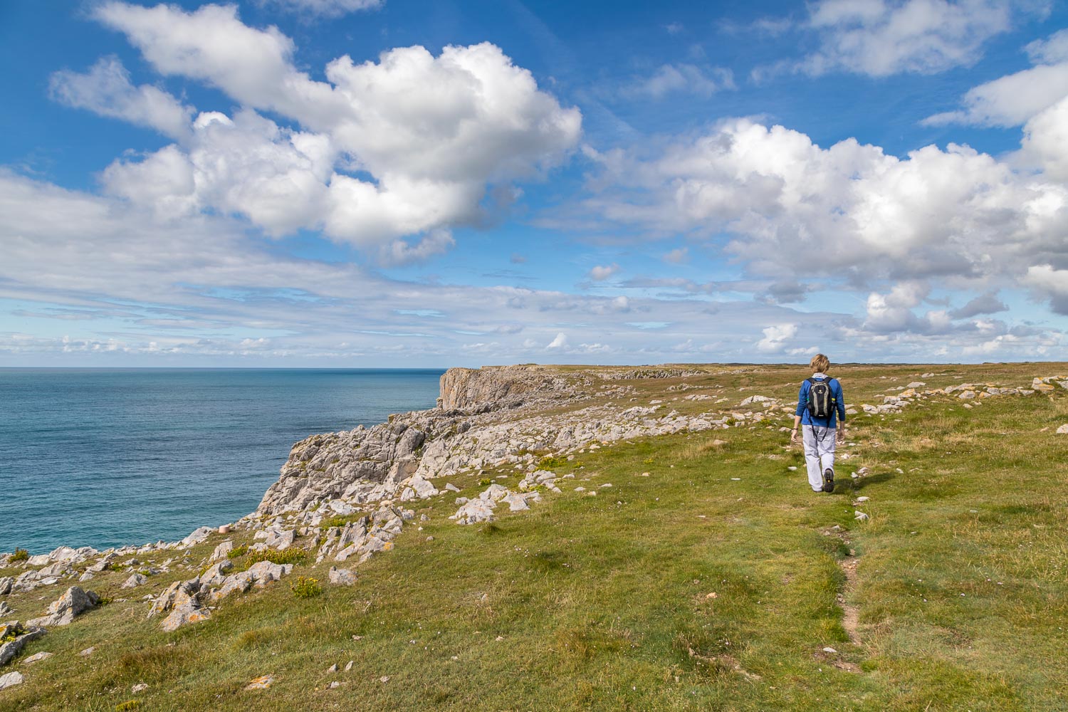 Wales Coast Path, Pembrokeshire Coast Path, Elegug Stacks walk
