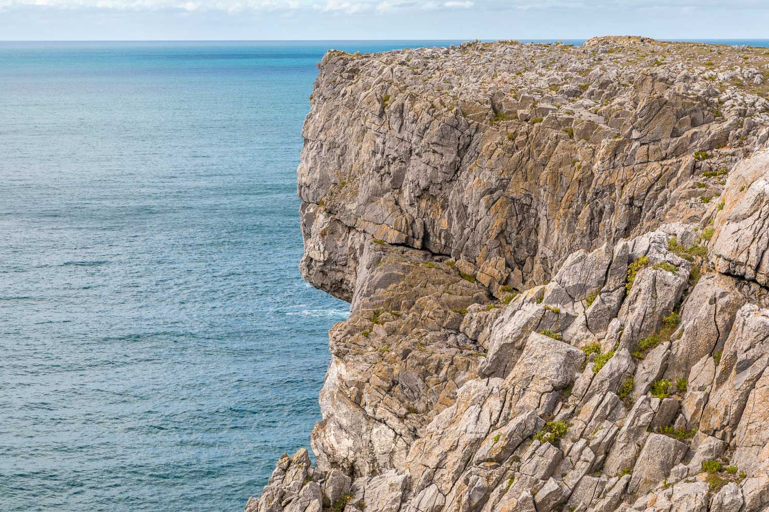 Wales Coast Path, Pembrokeshire Coast Path, Elegug Stacks walk