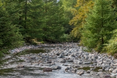 River Liza