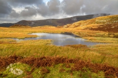 Siney Tarn