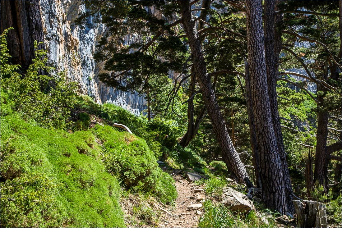 Faja Racon walk, Ordesa Valley Faja Racon walk, Ordesa Valley