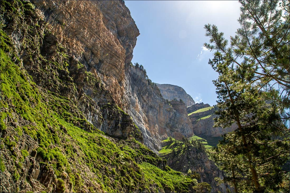 Faja Racon walk, Ordesa Valley Faja Racon walk, Ordesa Valley
