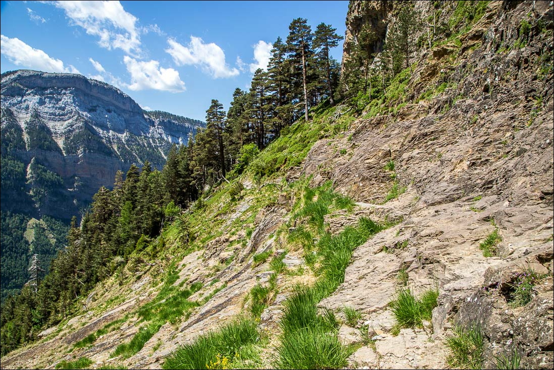 Faja Racon walk, Ordesa Valley Faja Racon walk, Ordesa Valley