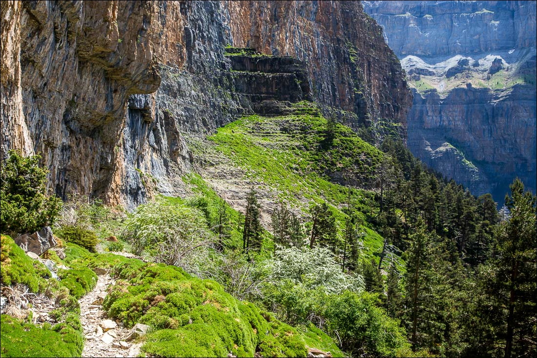 Faja Racon walk, Ordesa Valley Faja Racon walk, Ordesa Valley