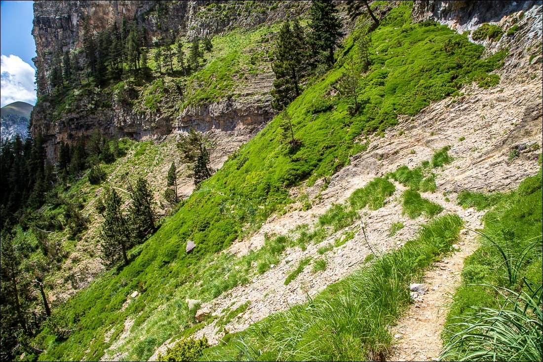 Faja Racon Faja Racon