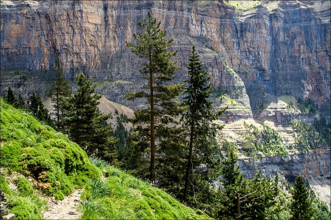Faja Racon walk, Ordesa Valley Faja Racon walk, Ordesa Valley