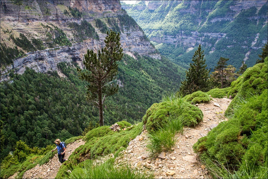 Faja Racon walk, Ordesa Valley Faja Racon walk, Ordesa Valley