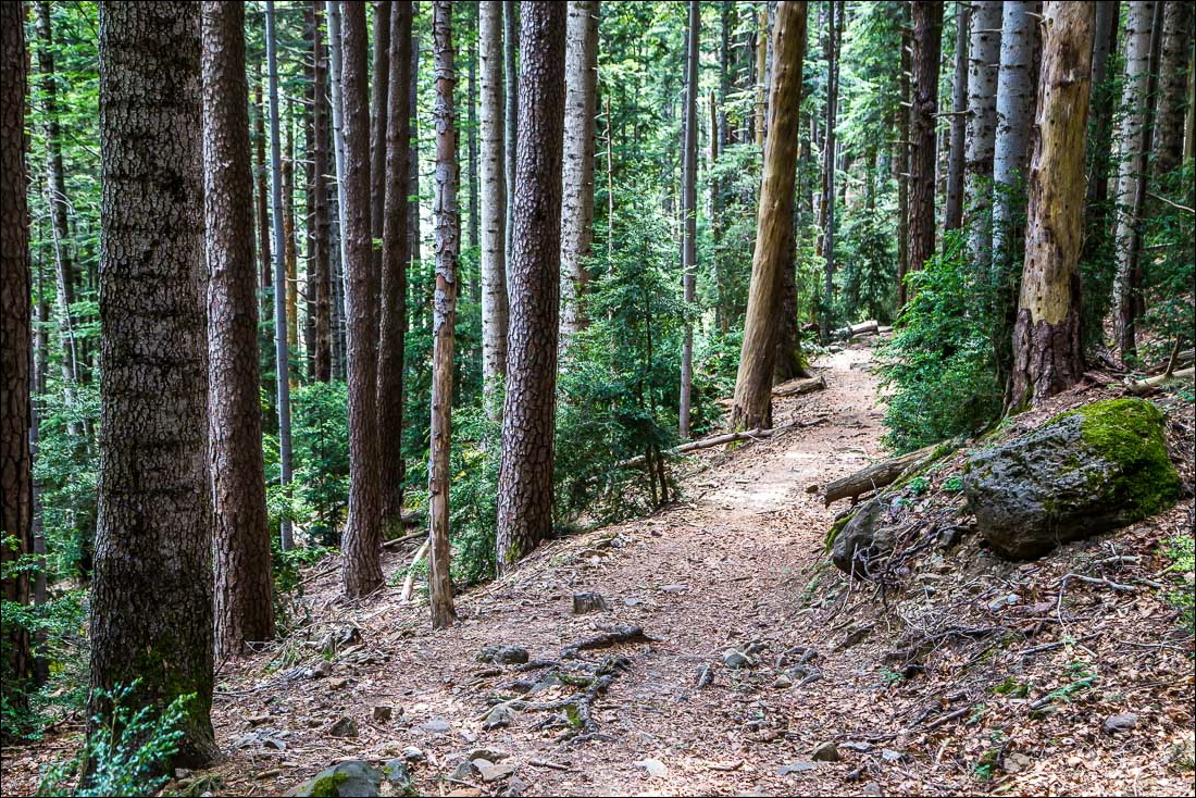 Faja Racon walk, Ordesa Valley Faja Racon walk, Ordesa Valley