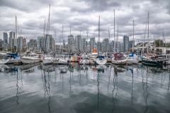 False Creek walk