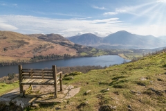 Loweswater bench