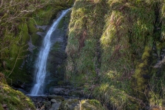 Holme Force, Holnme Wood, waterfall