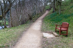 Farndale walk, Farndale daffodils