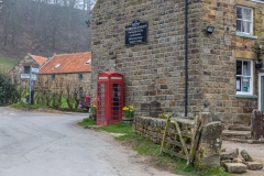 Farndale walk, Farndale daffodils, Church Houses