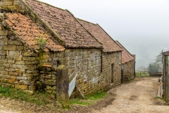 Farndale walk