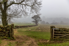 Farndale walk