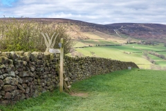 Farndale walk