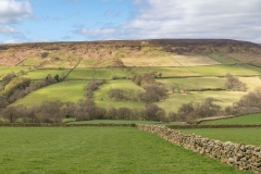 Farndale West