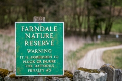 Farndale