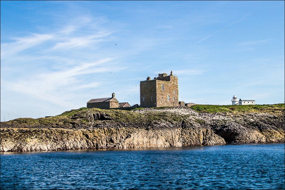 Farne Islands - Seahouses - Serenity boat trip - Northumberland coast