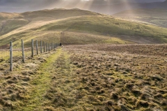 Fellbarrow walk