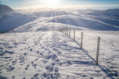 Fellbarrow and Low Fell