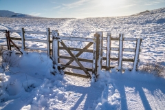Fellbarrow and Low Fell