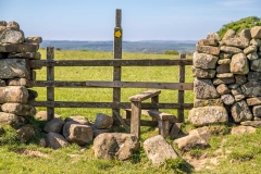 Flakebridge Wood walk, Eden Valley walk