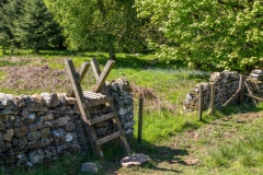 Flakebridge Wood walk