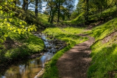 Dufton Gill