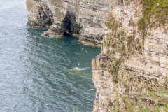 Flamborough Cliffs