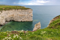 Flamborough Cliffs, Bempton Cliffs