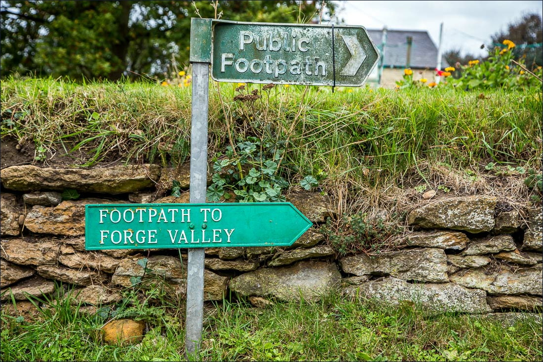 Forge Valley walk, West Ayton