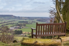 Forge Valley walk
