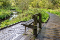 Forge Valley walk